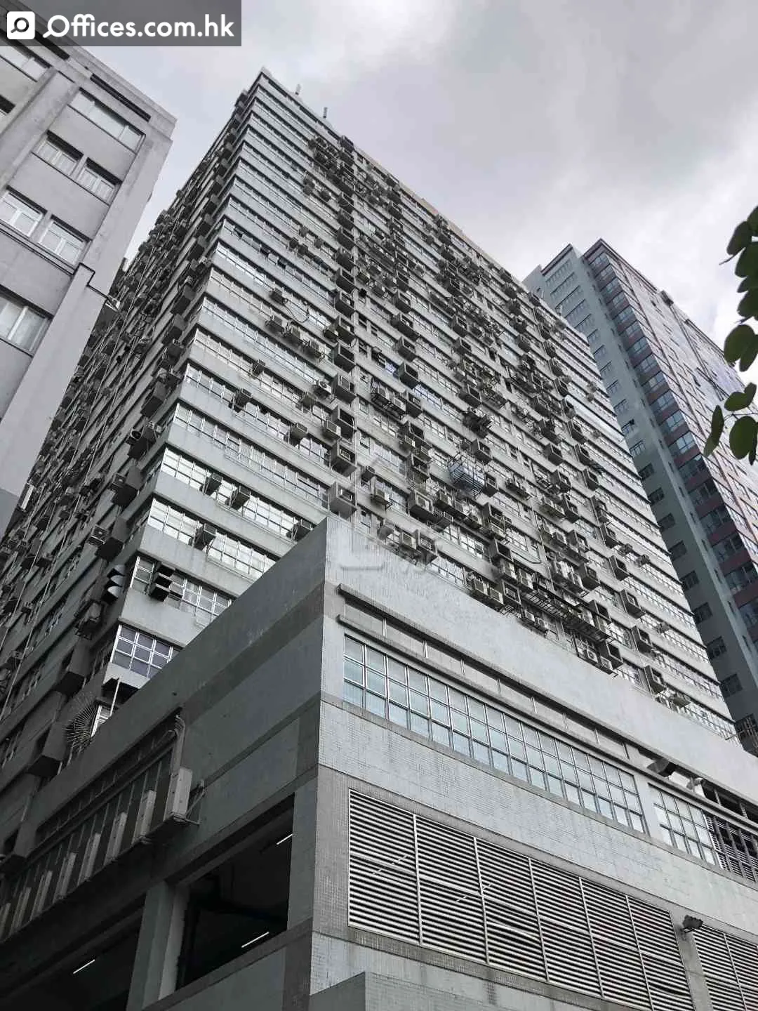 32 Tai Yau Street